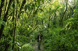 Birding Prints: Cloud Forest