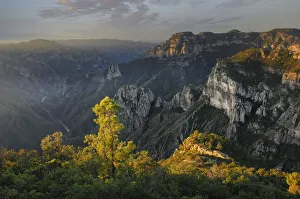 Copper Canyon