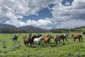 American West Prints: Cowboy Country Wyoming
