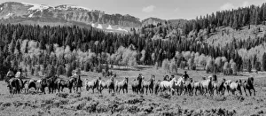 American West Prints: Cowboyland