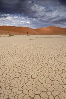 : Dead Vlei