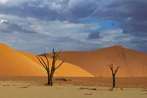 : Dunes