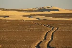 Namibia Prints: Desert