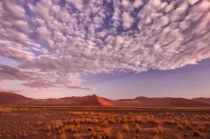 Namibia Prints: Desert