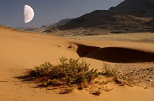 Namibia Prints: Desert