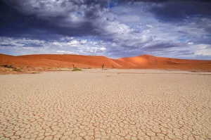 : Desert