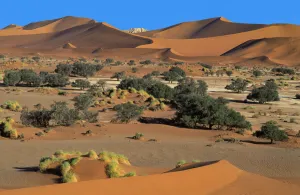 Namibia Prints: Desert Dunes