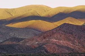 Light Prints: desert Glow
