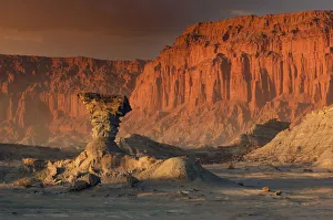 Desert Prints: Desert Light
