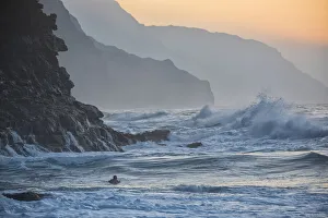 Wild Prints: Kauai