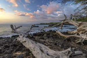 Landscape Prints: Hawaii