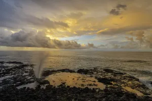 Landscape Prints: Hawaii