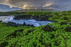 Hawaii Prints: Hawaii