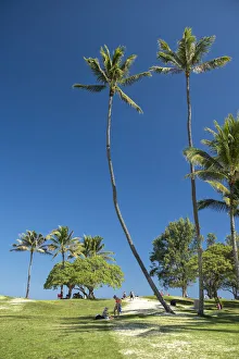 Hawaii Prints: Hawaii