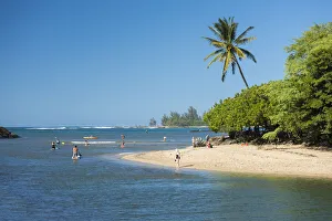 Hawaii Prints: Hawaii