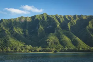 Hawaii Prints: Hawaii