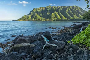 Hawaii Prints: Hawaii