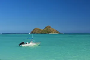 Hawaii Prints: Hawaii