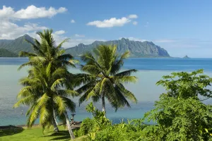 Hawaii Prints: Hawaii