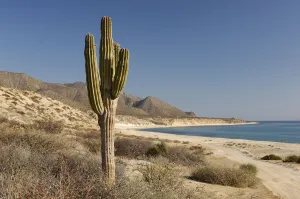 Scenic Prints: Hot Water Beach