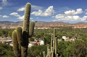 Argentina Prints: Humahuaca