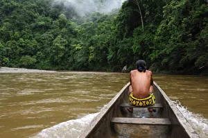 Latin America Prints: Jungle