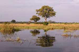 : Kwando River