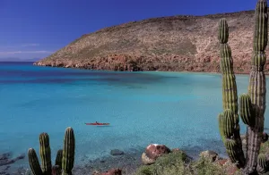 Water Prints: La Paz