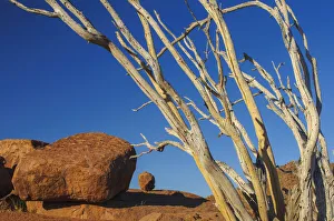 Damaraland Prints: Namibia