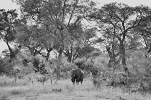 : Namibia
