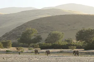 : Namibia