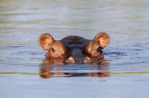 : Namibia