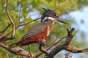 : Namibia