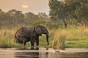 : Namibia