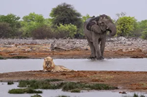 : Namibia
