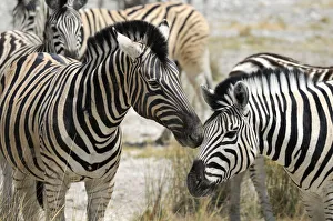 : Namibia