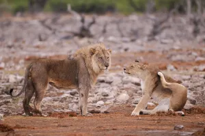 : Namibia