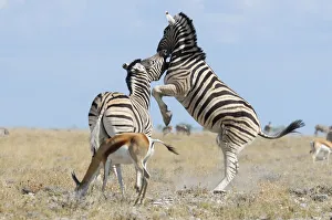 : Namibia
