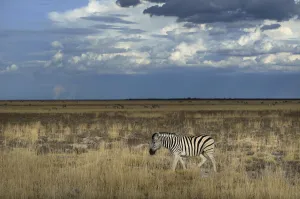 : Namibia