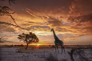: Namibia