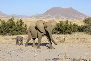 : Namibia