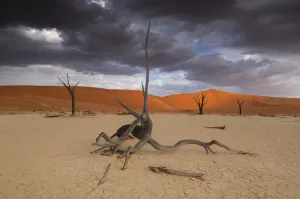 Namibia Prints: Namibia