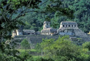 Native Prints: Palenque