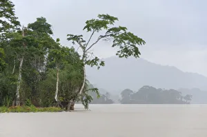 Panama Canal