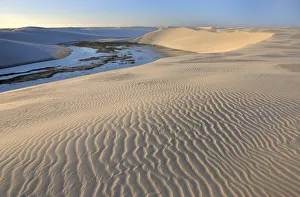 Sand Prints: Parque Nacional dos Lencois