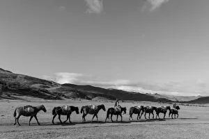 Local Prints: Patagonia