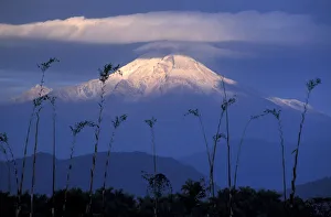 Latin America Prints: Pica de Orizaba