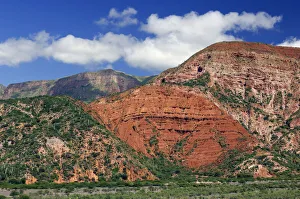 Argentina Prints: Red Canyon