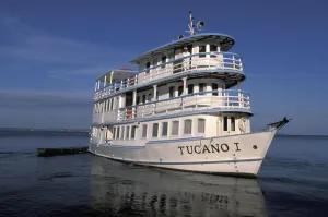 Water Prints: Rio Negro