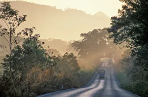Latin America Prints: Road to Bonampak